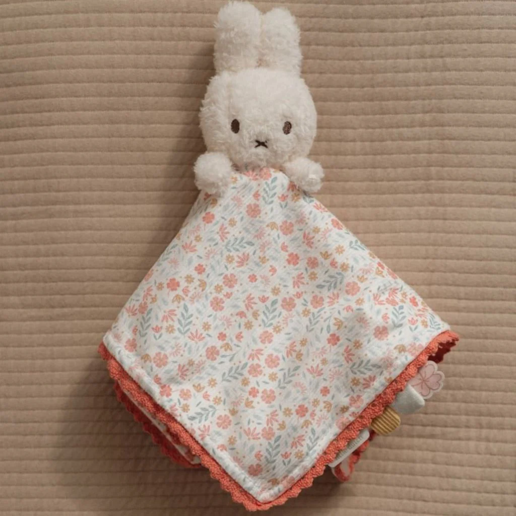 Miniatuur 2